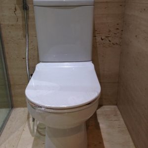 Bathroom Faucets and leaking toilets Pretoria